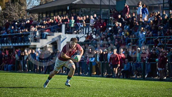 Fecha 19 - URBA Top 12 Copa Macro - Newman ante Hindú 40 a 7