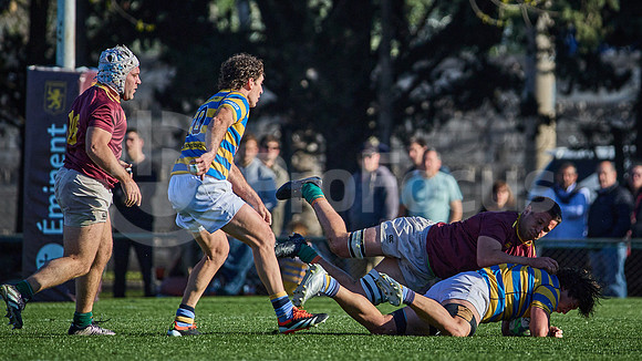 Fecha 19 - URBA Top 12 Copa Macro - Newman ante Hindú 40 a 7