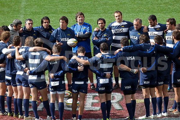 Entrenamiento / Training Pumas