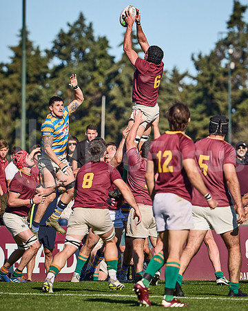 Fecha 19 - URBA Top 12 Copa Macro - Newman ante Hindú 40 a 7