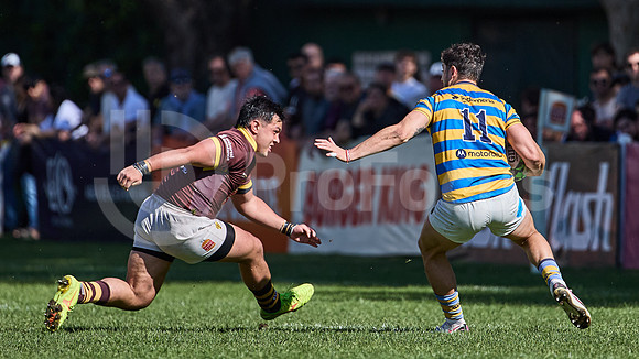 URBA Top 12 - Fecha 21 - Belgrano Athletic vs Hindú 42 a 29