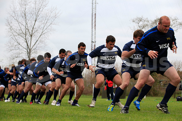 Entrenamiento / Training Pumas