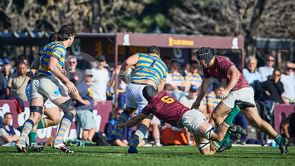 Fecha 19 - URBA Top 12 Copa Macro - Newman ante Hindú 40 a 7