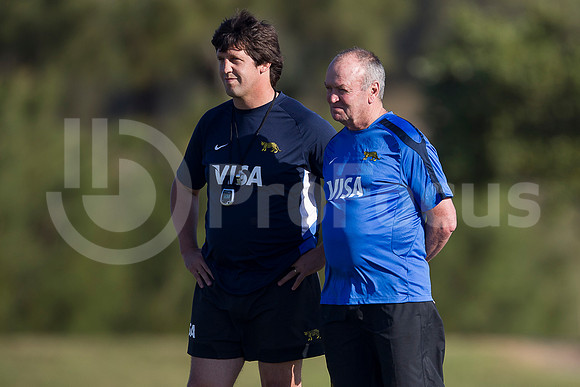 Entrenamiento / Training Pumas
