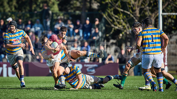Fecha 19 - URBA Top 12 Copa Macro - Newman ante Hindú 40 a 7