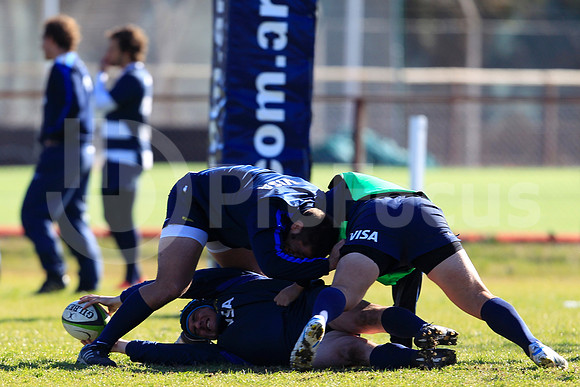 Entrenamiento / Training Pumas