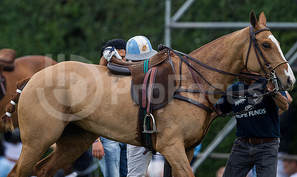 Final 120°Abierto Polo Hurlingham