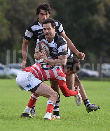 URBA Top12 2018.