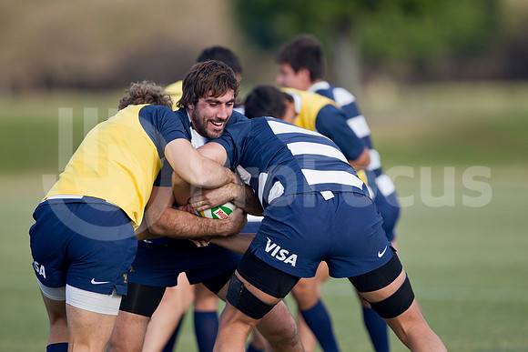 Entrenamiento / Training Pumas