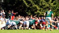 SAN LUIS 17 vs LOS TILOS 3