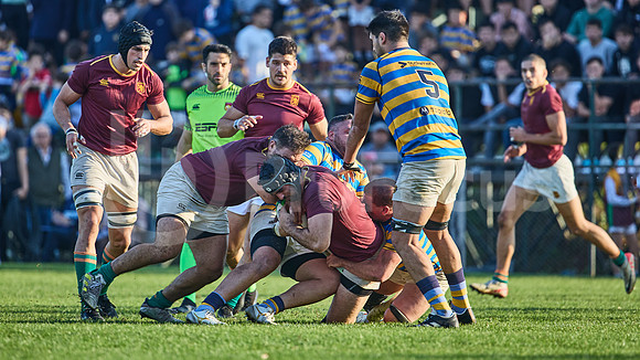 URBA Top 12 Copa Macro: Hindú vs Newman 22 a 40