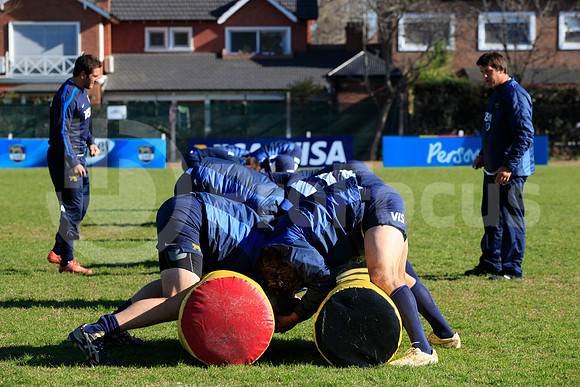 Entrenamiento / Training Pumas