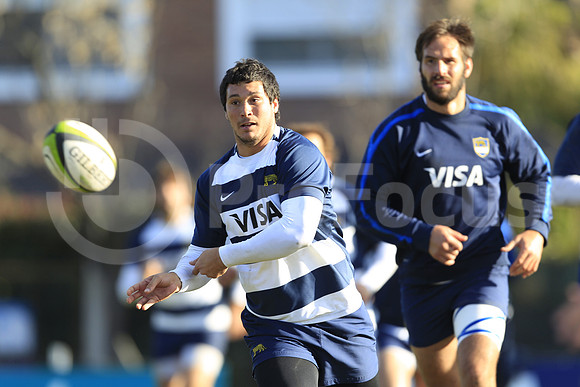 Entrenamiento / Training Pumas