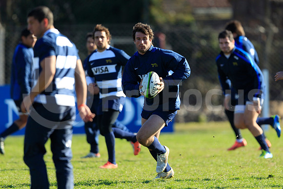 Entrenamiento / Training Pumas