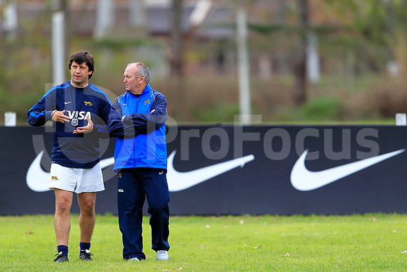 Entrenamiento / Training Pumas