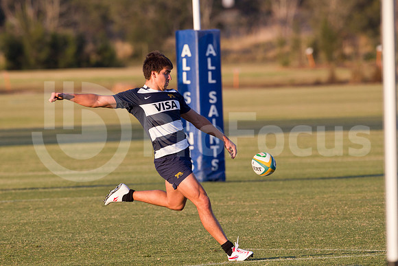 Entrenamiento / Training Pumas