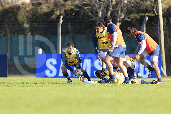 Entrenamiento / Training Pumas