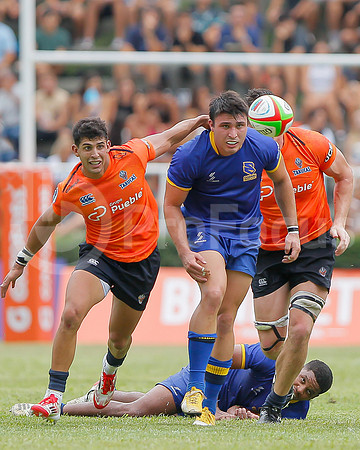 Súper Rugby de las Américas 2025 - Tarucas vs  Cobra