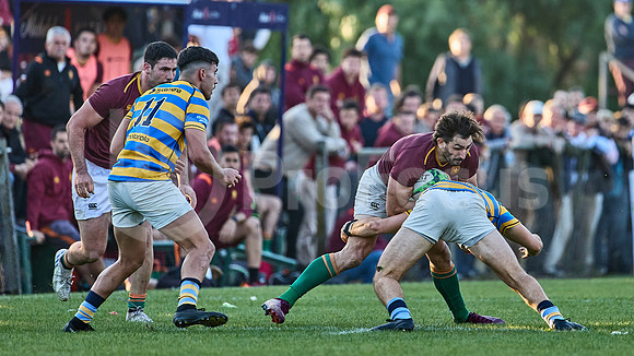 URBA Top 12 Copa Macro: Hindú vs Newman 22 a 40