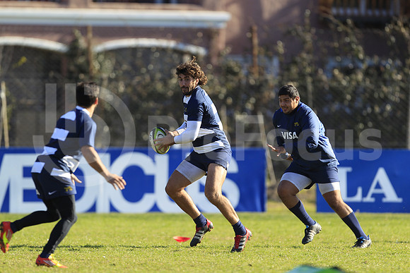 Entrenamiento / Training Pumas