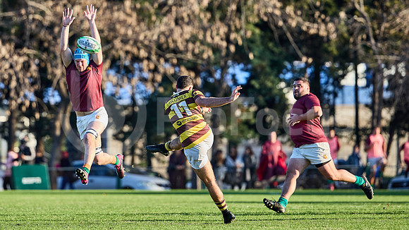URBA Top 12 Copa Macro: Newman ante Belgrano 26 a 56