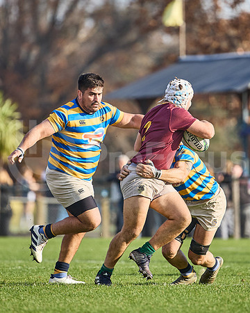 URBA Top 12 Copa Macro: Hindú vs Newman 22 a 40