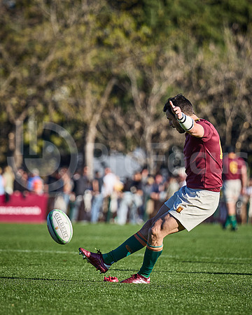 Fecha 19 - URBA Top 12 Copa Macro - Newman ante Hindú 40 a 7