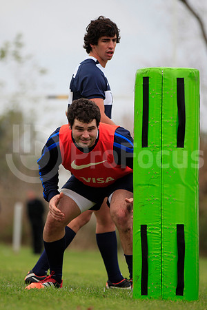 Entrenamiento / Training Pumas