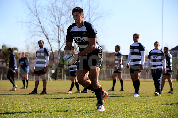 Entrenamiento / Training Pumas