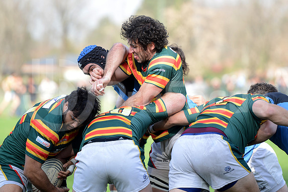 URBA TOP 14 2013