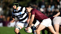 NEWMAN 37 vs CASI 14