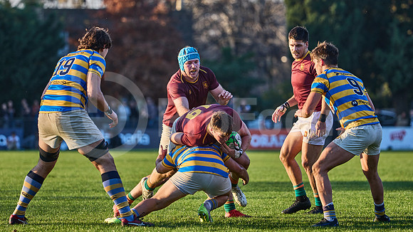 URBA Top 12 Copa Macro: Hindú vs Newman 22 a 40