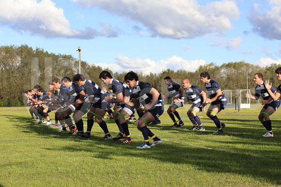 Entrenamiento / Training Pumas