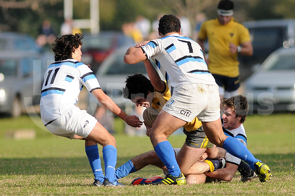 JUVENILES URBA, M20 LA PLATA VS SIC