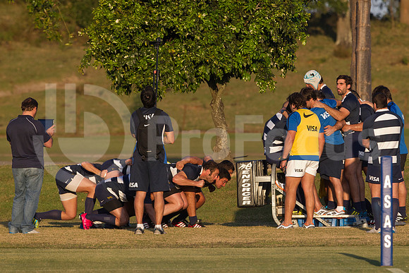 Entrenamiento / Training Pumas