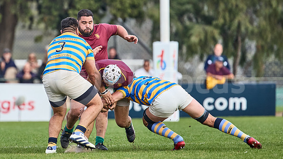 URBA Top 12 Copa Macro: Hindú vs Newman 22 a 40