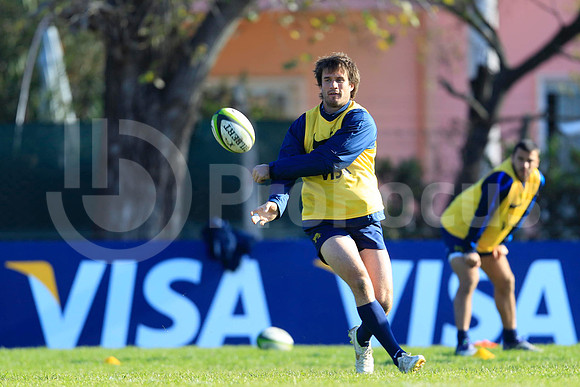 Entrenamiento / Training Pumas
