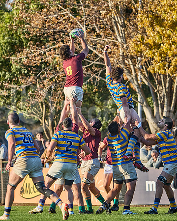URBA Top 12 Copa Macro: Hindú vs Newman 22 a 40