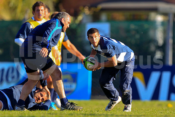 Entrenamiento / Training Pumas