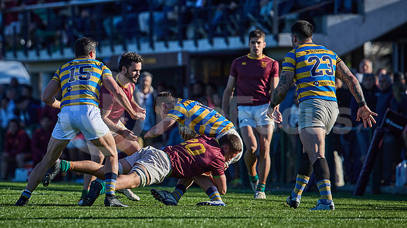 Fecha 19 - URBA Top 12 Copa Macro - Newman ante Hindú 40 a 7