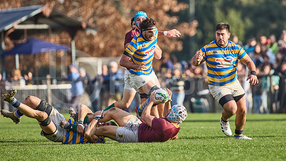 URBA Top 12 Copa Macro: Hindú vs Newman 22 a 40