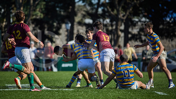 Fecha 19 - URBA Top 12 Copa Macro - Newman ante Hindú 40 a 7