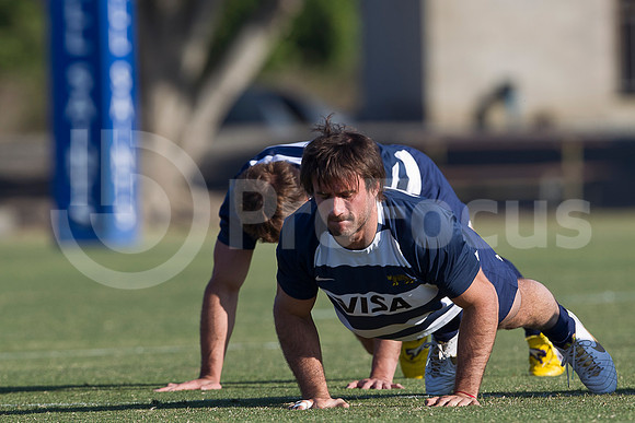 Entrenamiento / Training Pumas