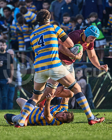 URBA Top 12 Copa Macro: Hindú vs Newman 22 a 40
