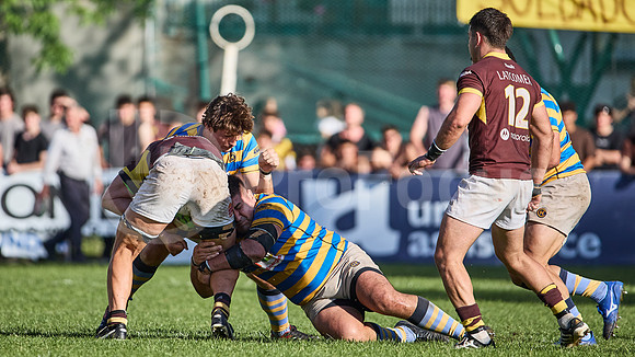 URBA Top 12 - Fecha 21 - Belgrano Athletic vs Hindú 42 a 29