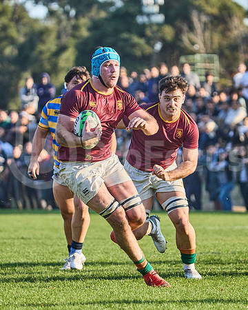 URBA Top 12 Copa Macro: Hindú vs Newman 22 a 40