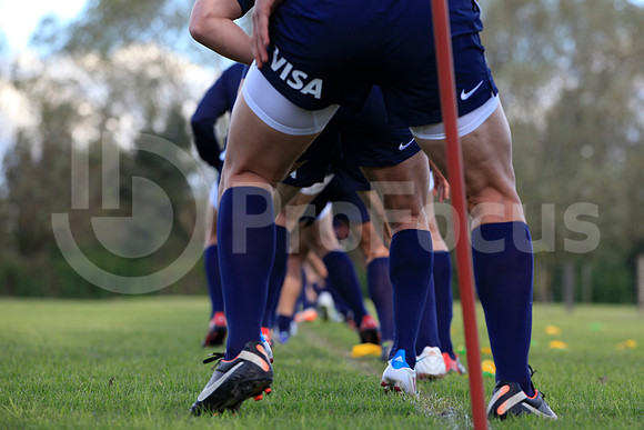 Entrenamiento / Training Pumas