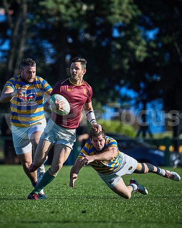 Fecha 19 - URBA Top 12 Copa Macro - Newman ante Hindú 40 a 7