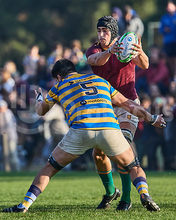 URBA Top 12 Copa Macro: Hindú vs Newman 22 a 40