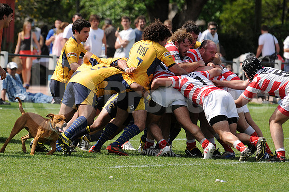 URBA TORNEO PRE INTERMEDIA B 2013
